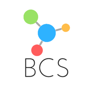 BCS Logo- Business Care Solutions- Digital marketing agency